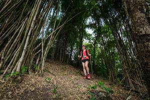 BIB: 
                            <button type="button" onclick="openModal(19395816)" class="btn btn-primary btn-sm float-right btn-popup" data-toggle="modal" data-target=".modal-high-quality">
                        <i class="fas fa-shopping-cart"></i> Add to Cart
                    </button>
                                            <button type="button" onclick="isThisMe(19395816, true)" class="btn btn-success btn-sm float-right btn-popup btn-isme hidden" data-toggle="tooltip" data-placement="bottom" title="นี่คือรูปของคุณใช่ไหม คลิกที่นี่เพื่อเอาเข้าอัลบั้ม">
                        <i class="fas fa-plus"></i> Add to album
                    </button>
                    <button type="button" onclick="isThisMe(19395816, false)" class="btn btn-warning btn-sm float-right btn-popup btn-isnotme hidden">
                        <i class="fas fa-ban"></i> Remove from album
                    </button>